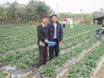 Image00335.jpg